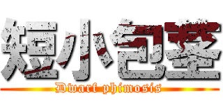 短小包茎 (Dwarf phimosis)