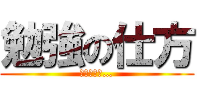 勉強の仕方 (わからない…)