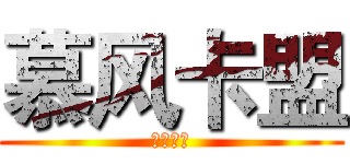 慕风卡盟 (全网低价)