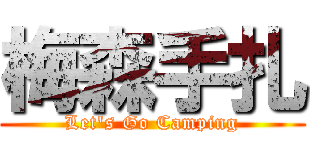 梅森手扎 (Let\'s Go Camping)