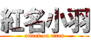 紅名小羽 (attack on titan)