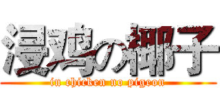 浸鸡の椰子 (in chicken no pigeon)