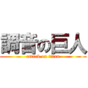 調音の巨人 (attack on titan)