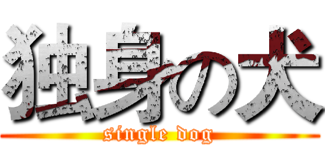 独身の犬 (single dog)