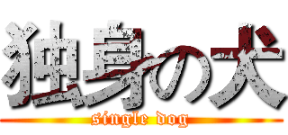 独身の犬 (single dog)