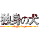 独身の犬 (single dog)