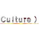 Ｃｕｌｔｕｒｅ ） ()