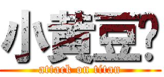 小黄豆鸡 (attack on titan)