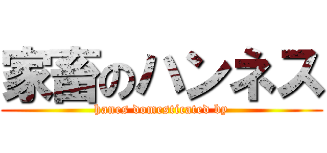 家畜のハンネス (hanes domesticated by)