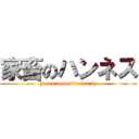 家畜のハンネス (hanes domesticated by)