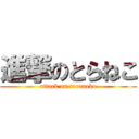 進撃のとらねこ (attack on toraneko)