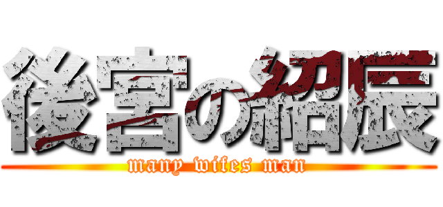 後宮の紹辰 (many wifes man)