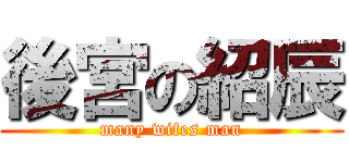 後宮の紹辰 (many wifes man)