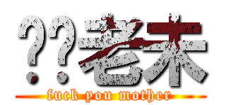屌你老未 (fuck you mother)