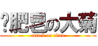 撿肥皂の大菊 (attack on titan)
