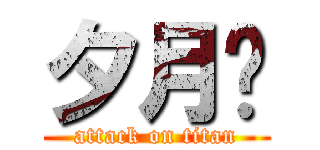 夕月喵 (attack on titan)