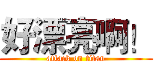 好漂亮啊！ (attack on titan)