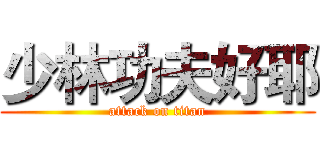 少林功夫好耶 (attack on titan)