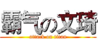 霸气の文琦 (attack on titan)