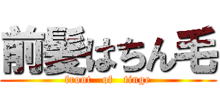 前髪はちん毛 (front   of   tinge)