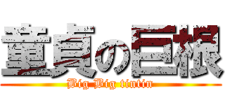 童貞の巨根 (Big Big tintin)