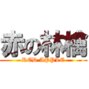 赤の林檎 (RED APPLE)