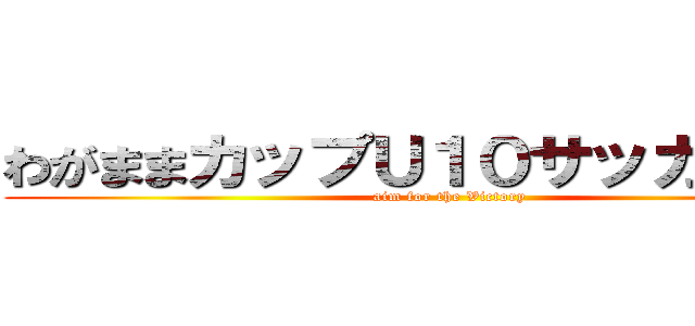 わがままカップＵ１０サッカー大会 (aim for the Victory)