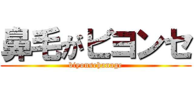 鼻毛がビヨンセ (biyonsehanage)