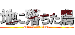 地に落ちた鳥 (attack on titan)