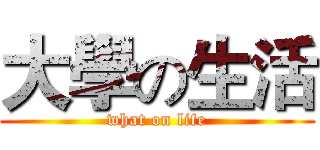 大學の生活 (what on life)