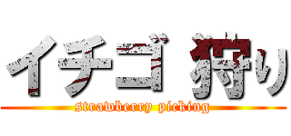 イチゴ 狩り (strawberry picking)