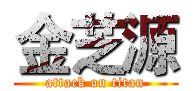 金芝源 (attack on titan)