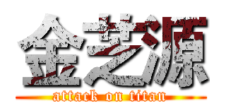 金芝源 (attack on titan)