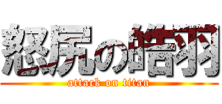 怒尻の皓羽 (attack on titan)