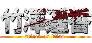 竹澤遥香 (attack on titan)