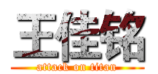 王佳铭 (attack on titan)