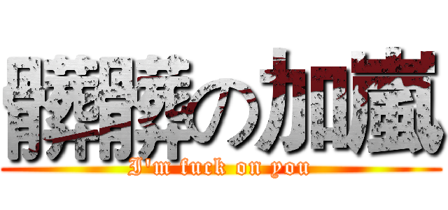 髒髒の加嵐 (I'm fuck on you)