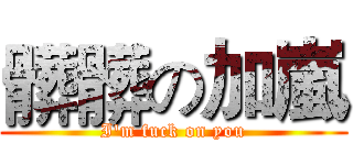 髒髒の加嵐 (I'm fuck on you)