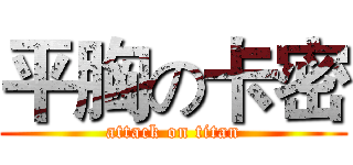 平胸の卡密 (attack on titan)