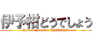 伊予柑どうでしょう (How do you like IYOKAN?)
