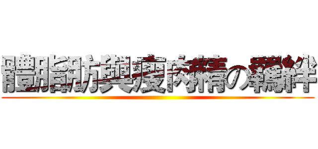 體脂肪與瘦肉精の羈絆 ()