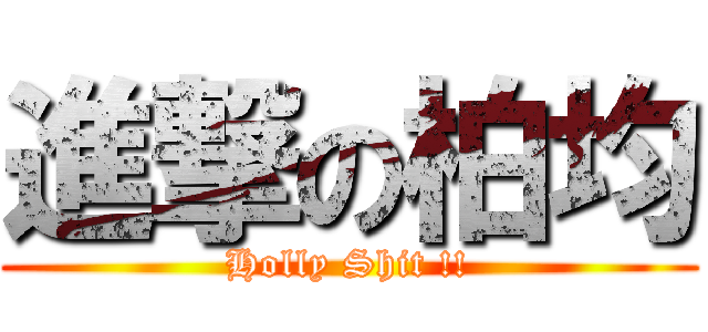 進撃の柏均 (Holly Shit !!)