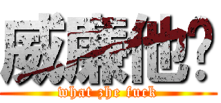 威廉他爹 (what zhe fuck)