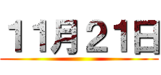 １１月２１日 ()