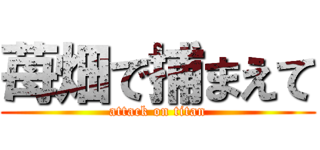 苺畑で捕まえて (attack on titan)