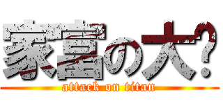 家富の大躉 (attack on titan)