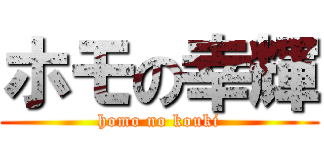 ホモの幸輝 (homo no kouki)