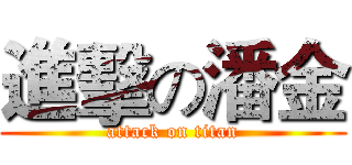 進擊の潘金 (attack on titan)