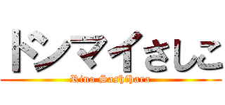 ドンマイさしこ (Rino Sashihara)