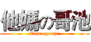 他媽の哥池 (Tama gotchi)
